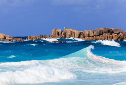 塞舌爾公司逾期年審有什么后果？